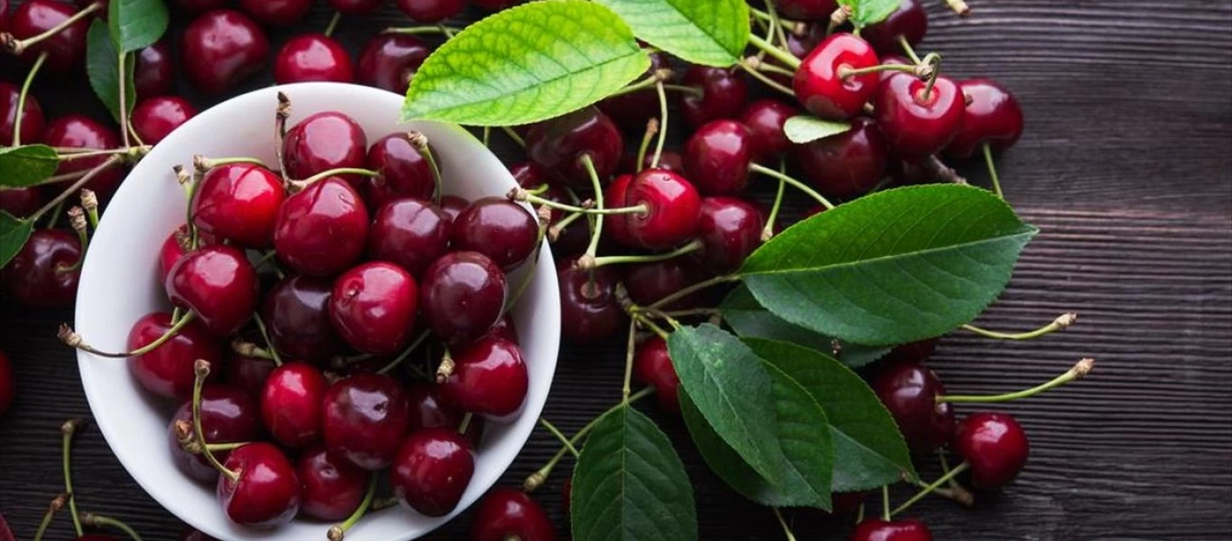 Οι πέντε λόγοι για να εντάξετε στην καθημερινότητα των παιδιών τα κεράσια